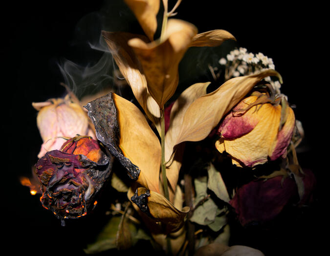 burn, Altered Photograph, 2024