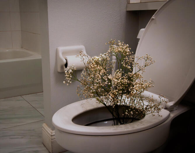 stinky!, Altered Photograph, 2023